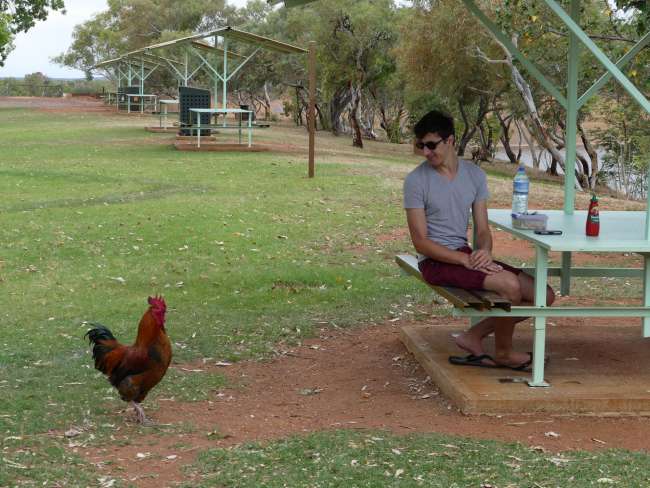 Company during lunch in Tennant Creek