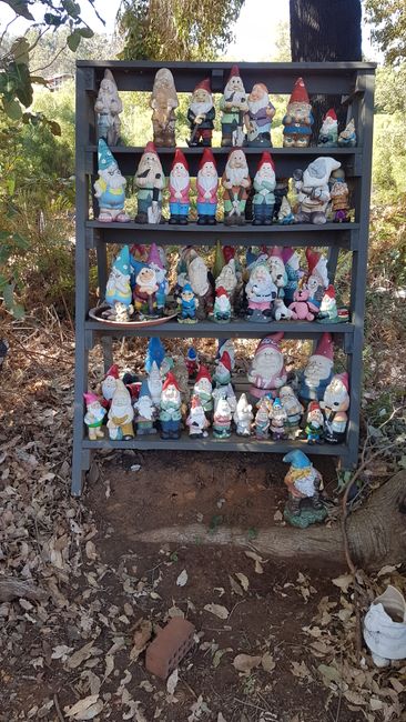 And before returning to Perth, a detour was made to Gnomsville.
