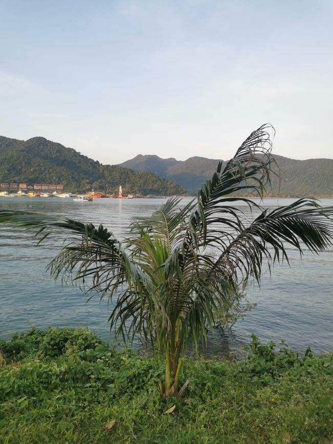 Vibrații din junglă și creaturi marine pe Koh Chang
