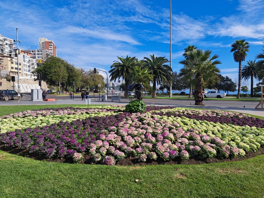 Viña del Mar - Eine Stadt voller Blumen