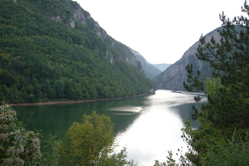 Day 47 to 50 Tara National Park and Drive to Bosnia and Herzegovina 🇧🇦