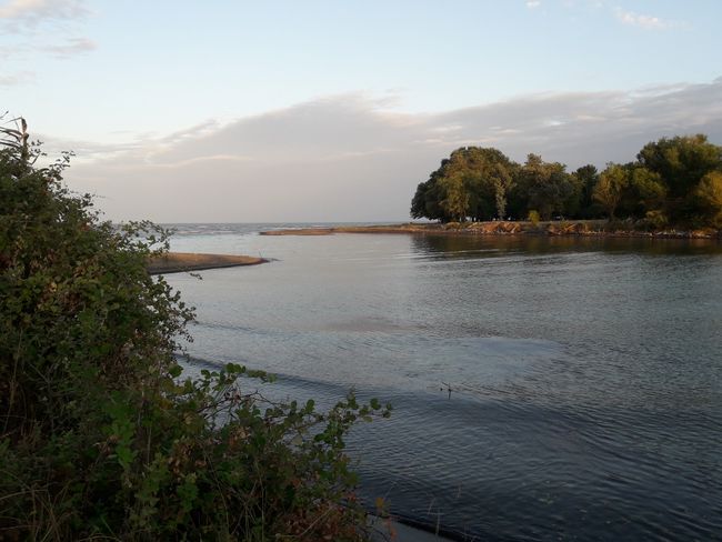 river mouth II