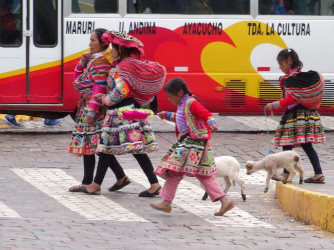 Weiter geht's nach Cusco!