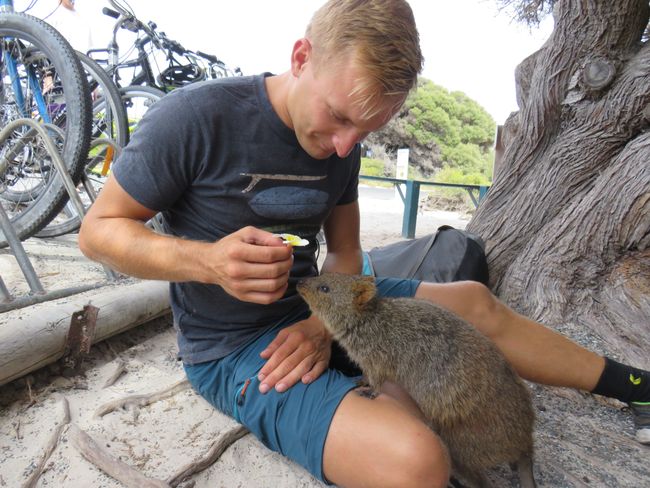 Melbourne/Adelaide with Trutz; and then the Quokkas