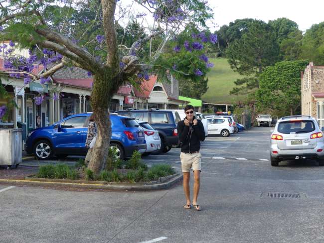 Paparazzi picture of Andi in Maleny