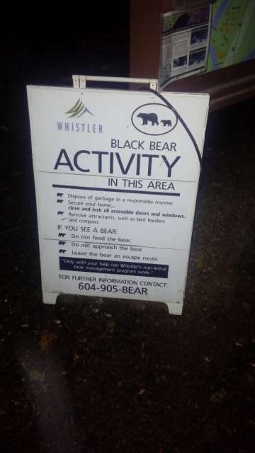 Whistler Bear Country