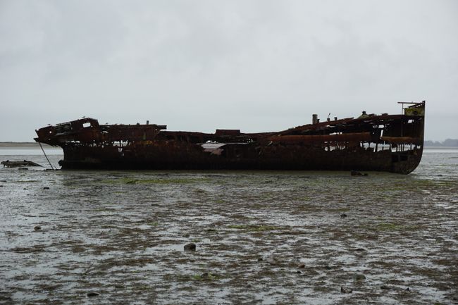 Janie Seddon shipwreck
