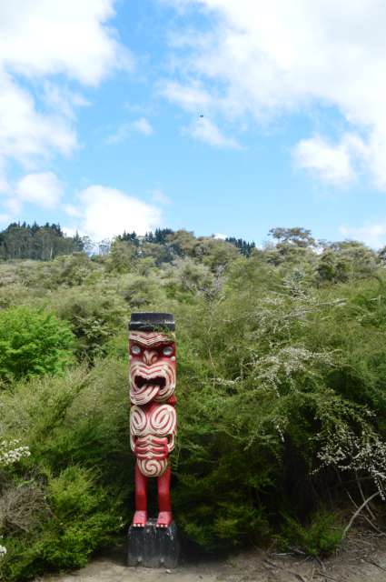 Te Puia - Vapeur de geyser, culture Maori et un kiwi vivant