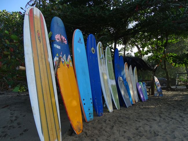Surfboards can be seen everywhere