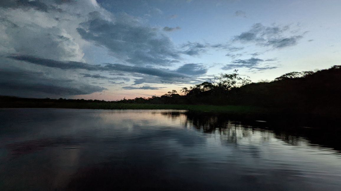 2. Día en la selva amazónica