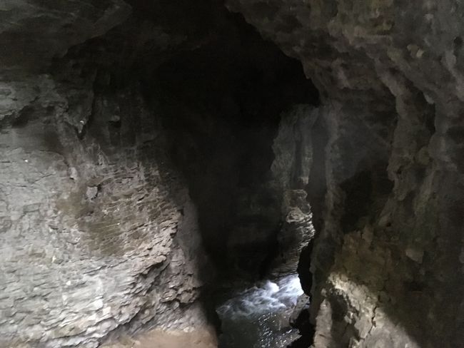 Blick in eine Höhle bei Waitomo