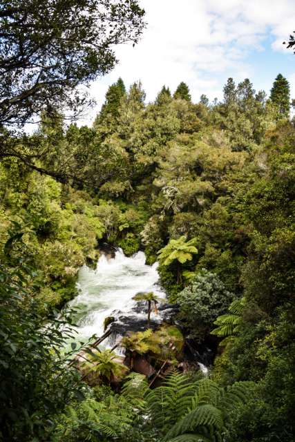 04.03.2017 - Neuseeland, Rotorua (Okere Falls)