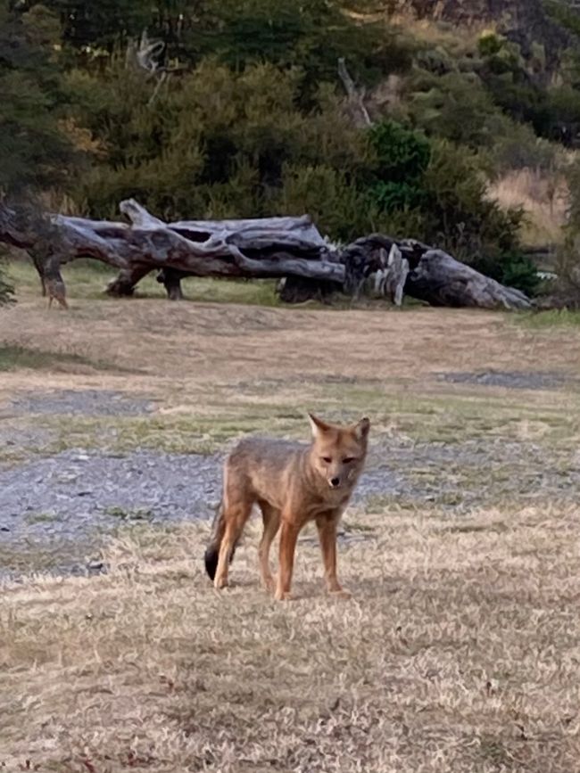 In the National Park