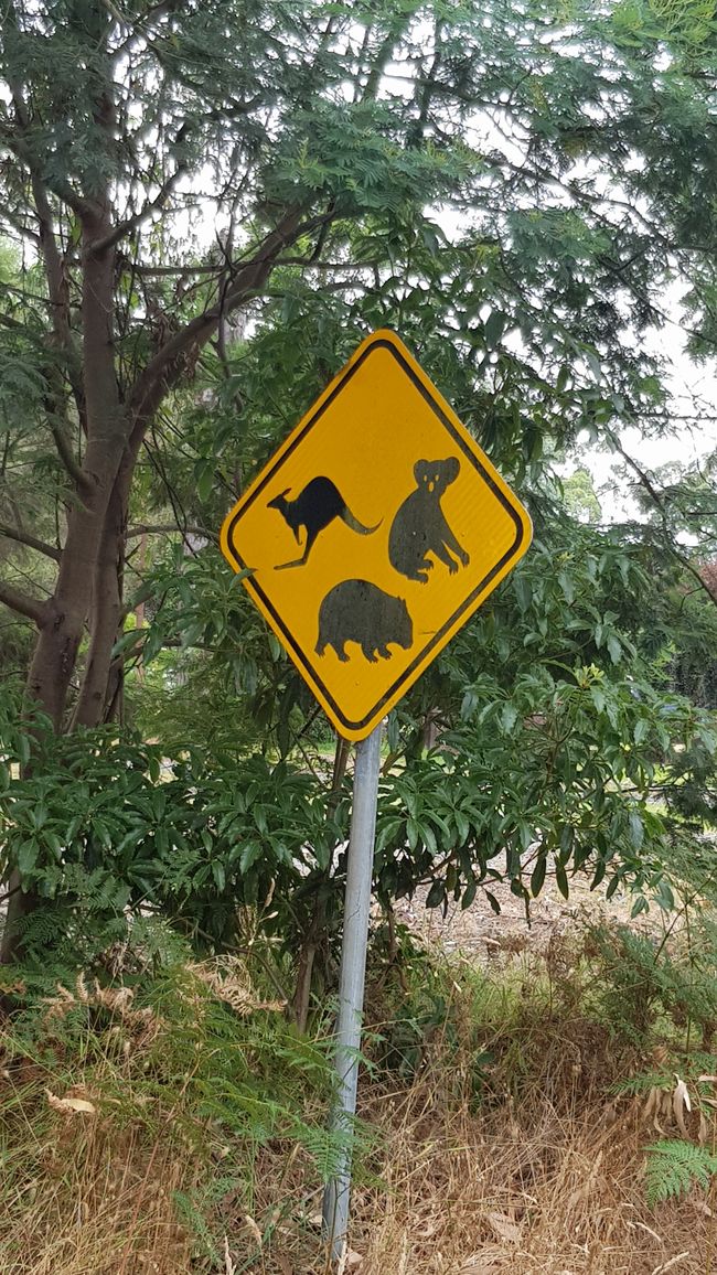 Warnung vor den wilden Tieren
