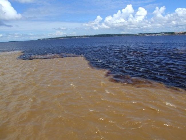 Amazonas und/y Rio Negro