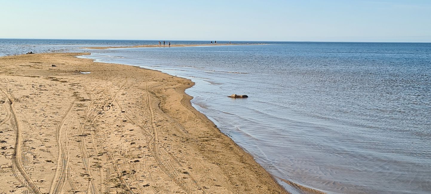 Von der See an den See