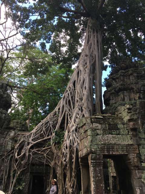 Cambodia - Siem Reap