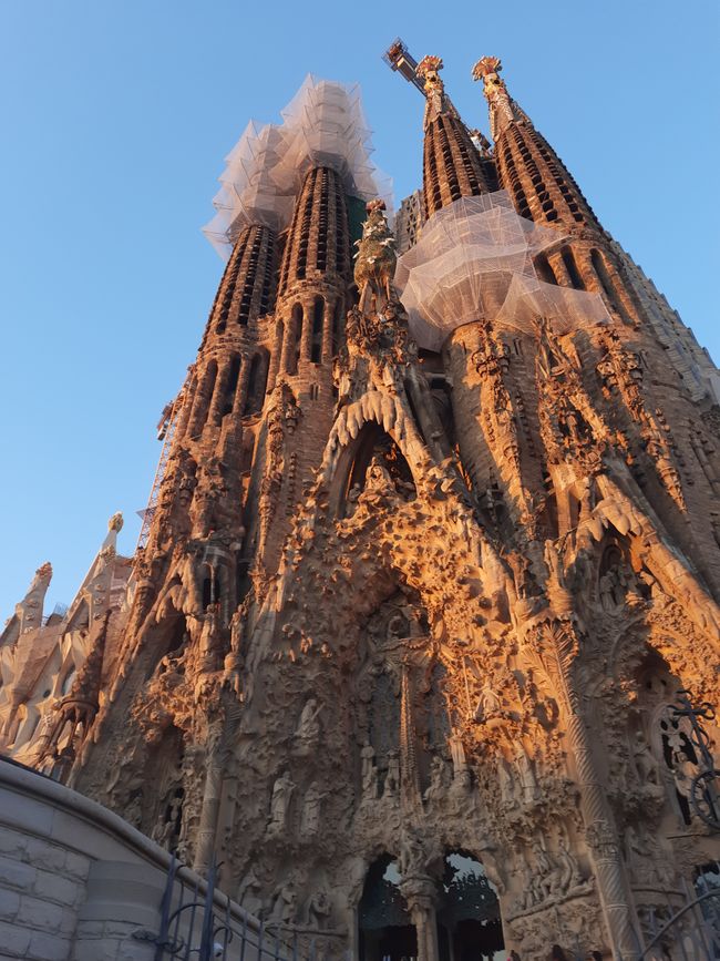 Sagrada Familia im Morgenlicht 
