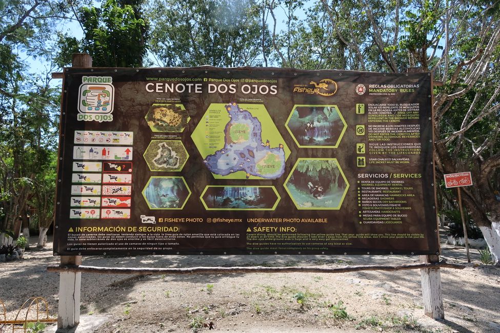 Tauchen in Cenote Dos Ojos (22.02.2022)