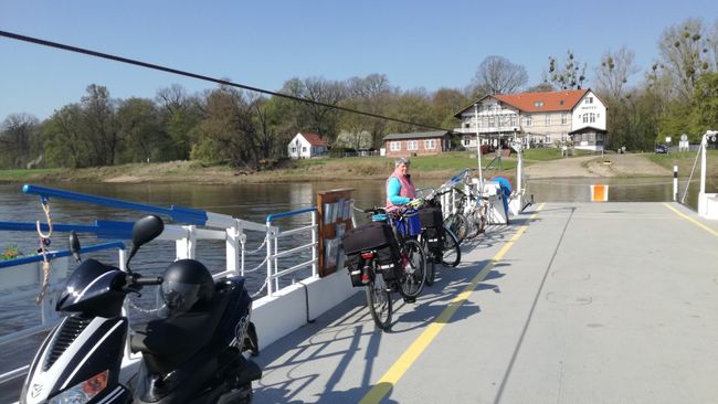 Elbe ferry near Coswig/Anhalt
