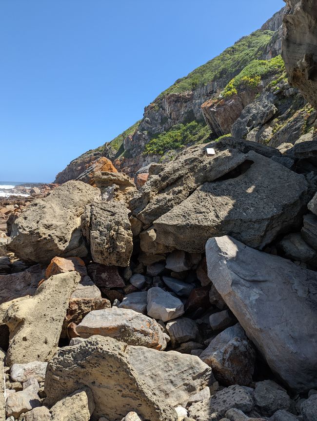 Plettenberg Bay/Robberg Nature Reserve