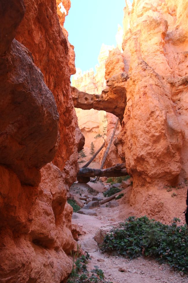 Into the deep - Navajo Loop Trail in Bryce Canyon