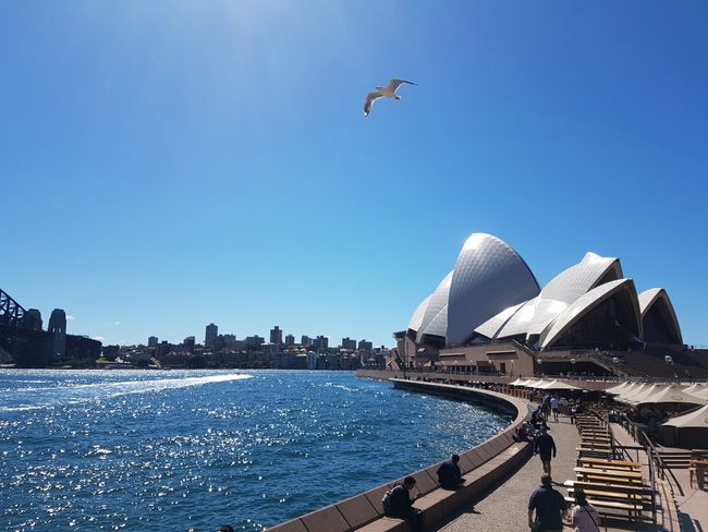 Opera House Sydney