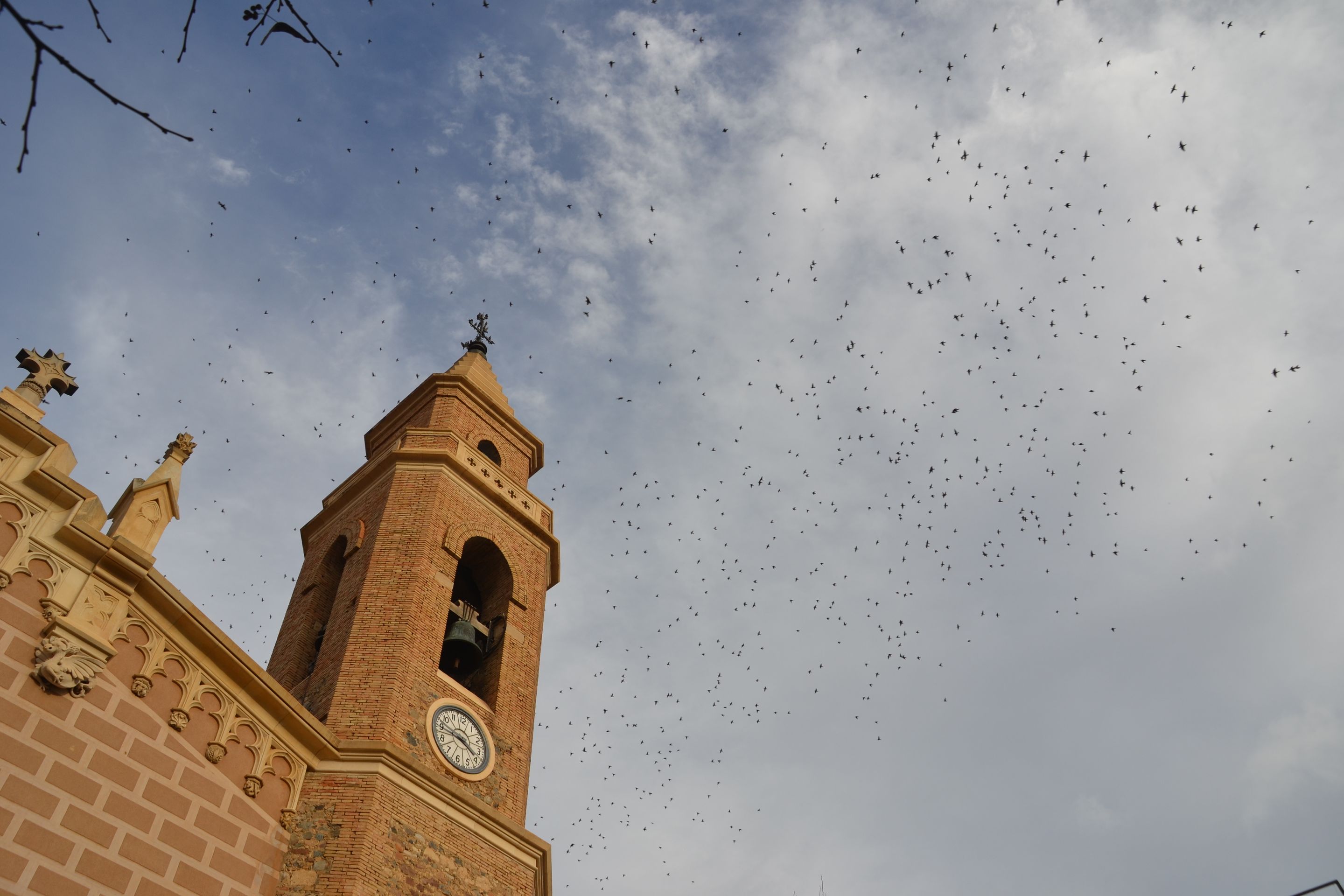 Vögel über dem Kirchturm von Cabrils