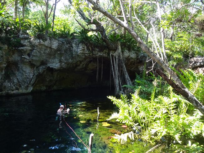 Die Gand Cenote – ein Schnorchelparadies