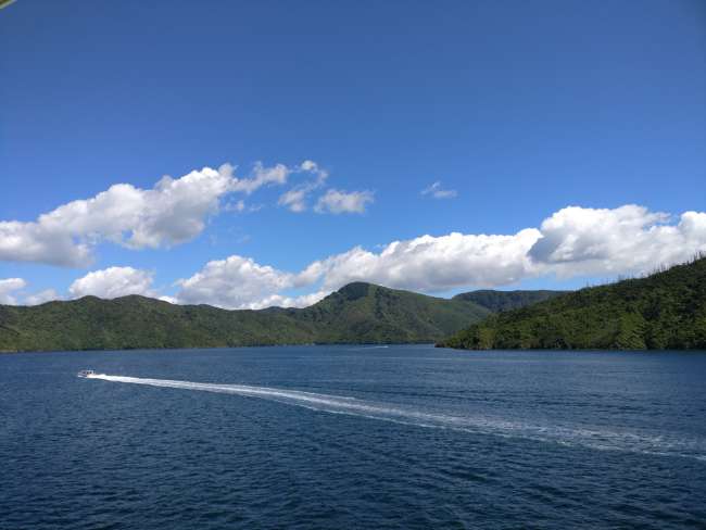 View from the ferry on the North Island