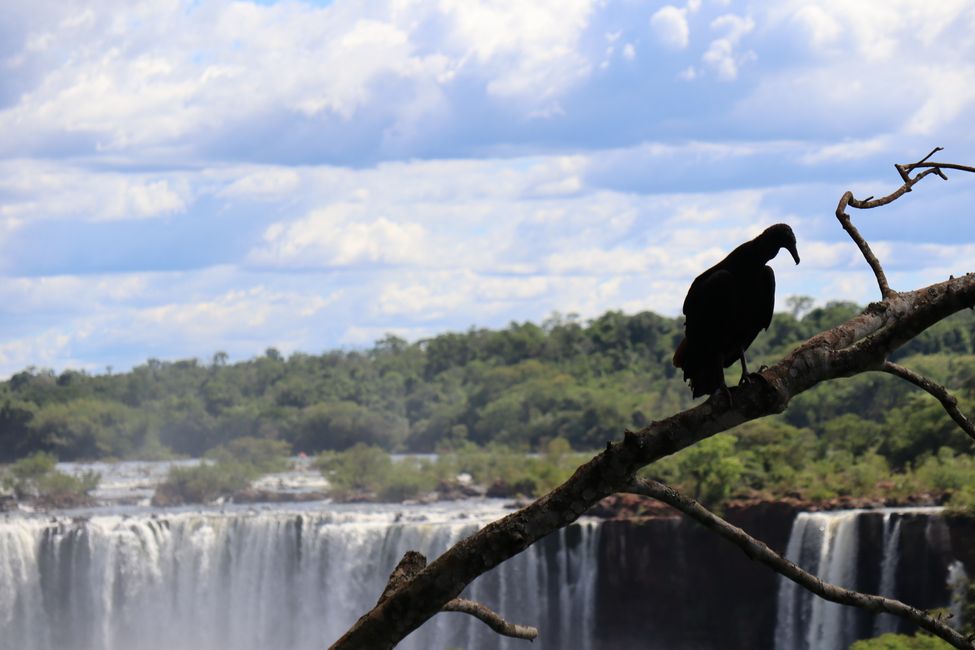 Good air, large water and Jesuit missions (Buenos Aires-Iguazu Falls-San Ignacio)