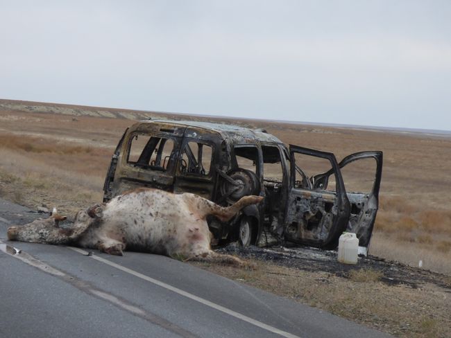 Burning trucks, dead cows, prostitutes and of course infinitely wide landscapes