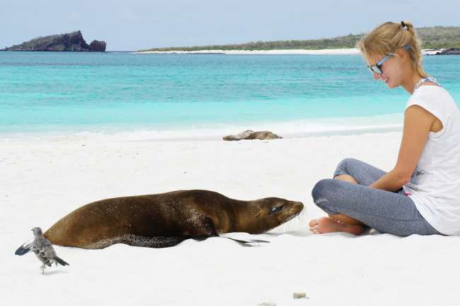 Galapagos & Ecuador: Hallo Seelöwe, darf ich mich zu dir setzen?
