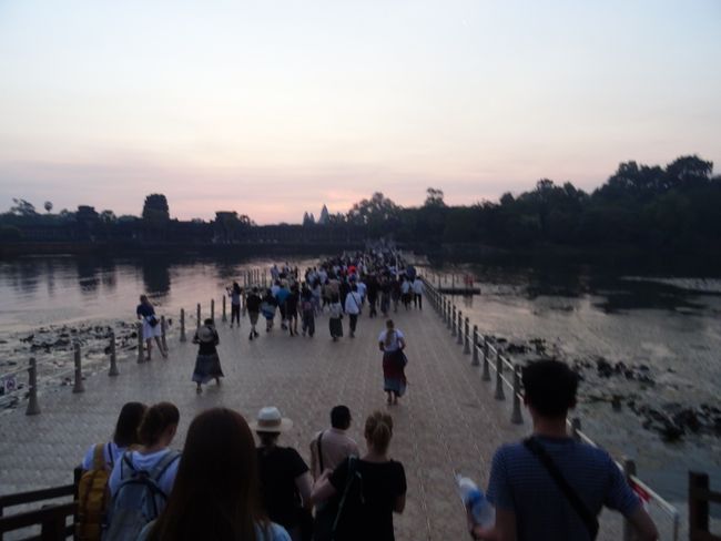 Tour del amanecer de Angkor Wat 💜💕💚🌅