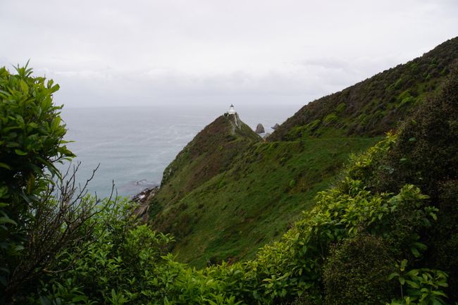 Bluff and the drive through the Catlins