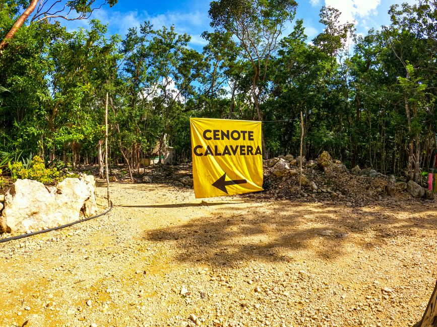 Tag 272 - Cenote Calavera