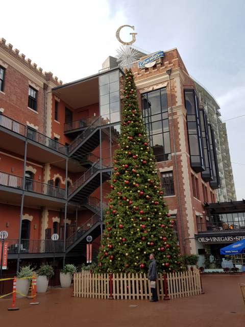 Det sötaste hörnet av San Francisco: Ghirardelli Square med sin chokladfabrik och en gigantisk julgran. Andreas stod framför den för storleksjämförelse.