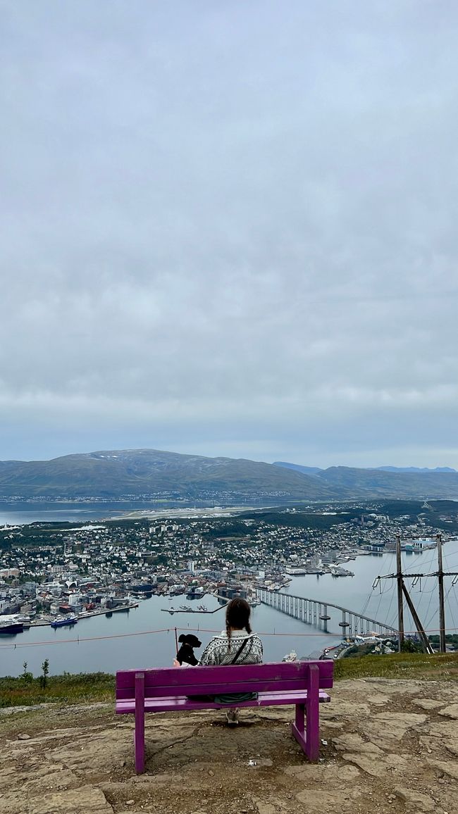Tromsø, wo bea fɛfɛ wɔ atifi fam 😍⛰️