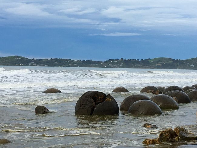 At low tide, the balls are even better to see, but you can't have everything