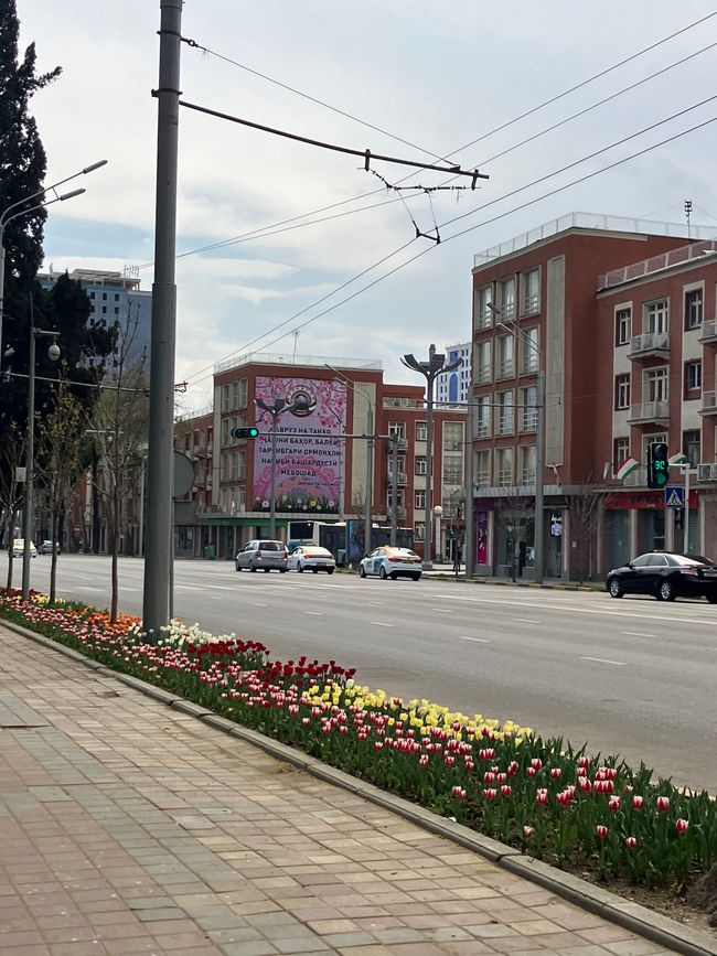 Dushanbe Frühling 3 / Nawruz