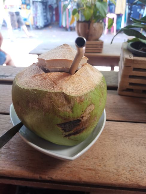 Coconut at Madame Munsur's