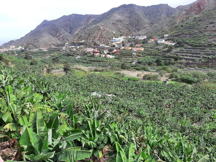 view over Agulo