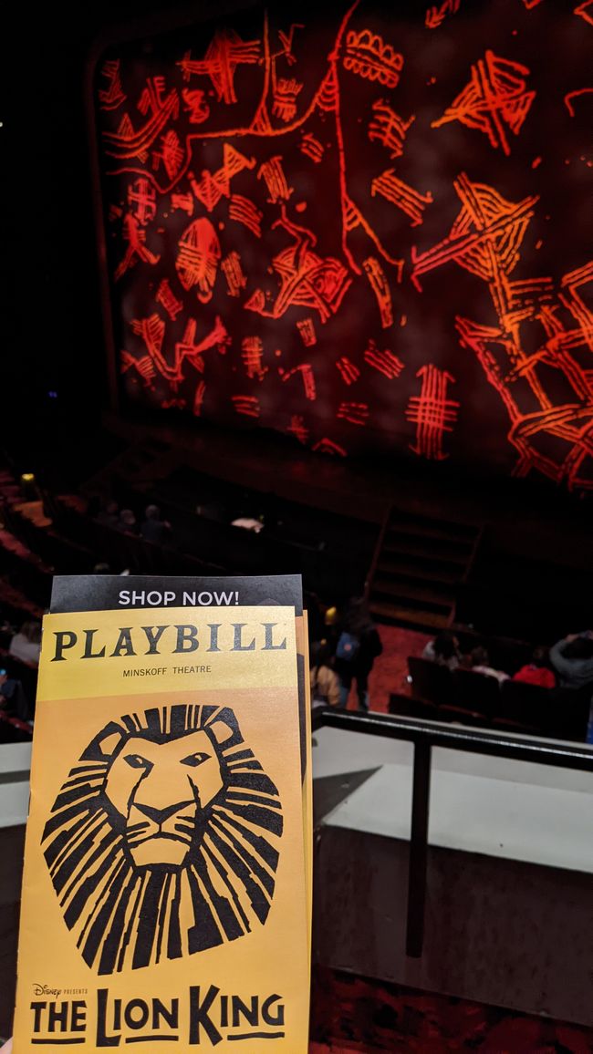 Day 13: Top of the Rocks, Highline, Lion King Musical & Times Square