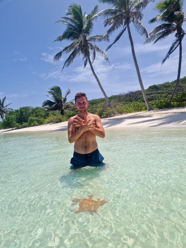 Starfish on Isla Contoy