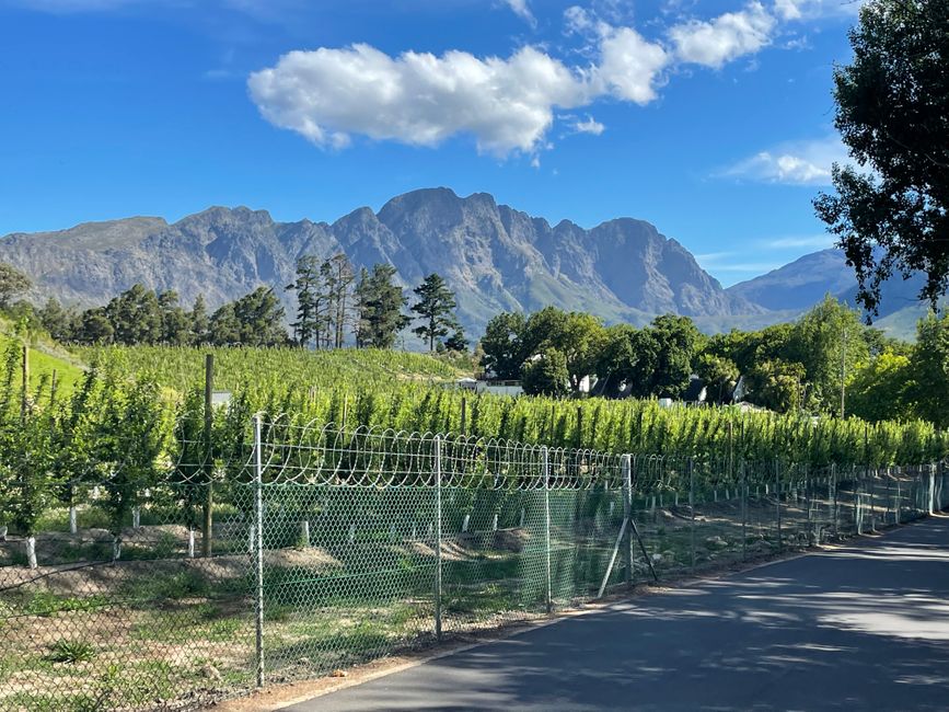 Have a great weekend in the Winelands