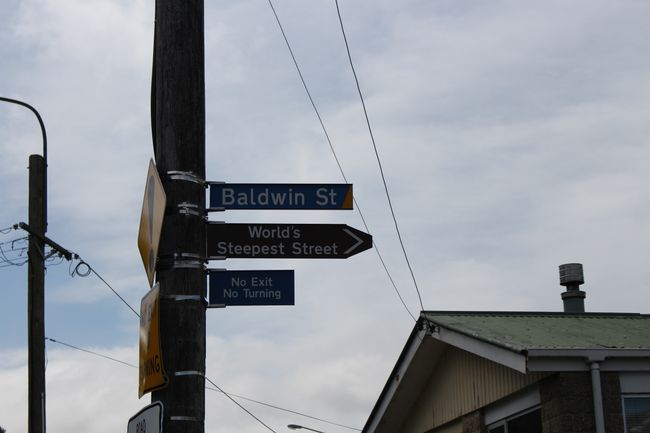 Baldwin Street - Dunedin