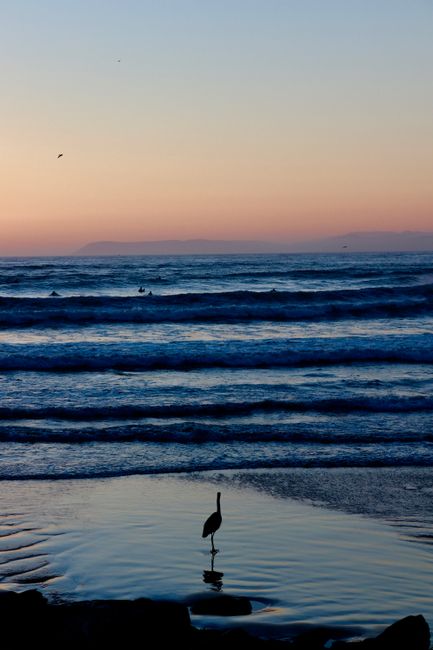 Morro Bay and Morro Rock