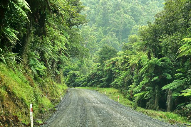 Day 20 - along the Forgotten World Highway to Tongariro NP