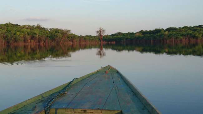 Manaus - Amazonas