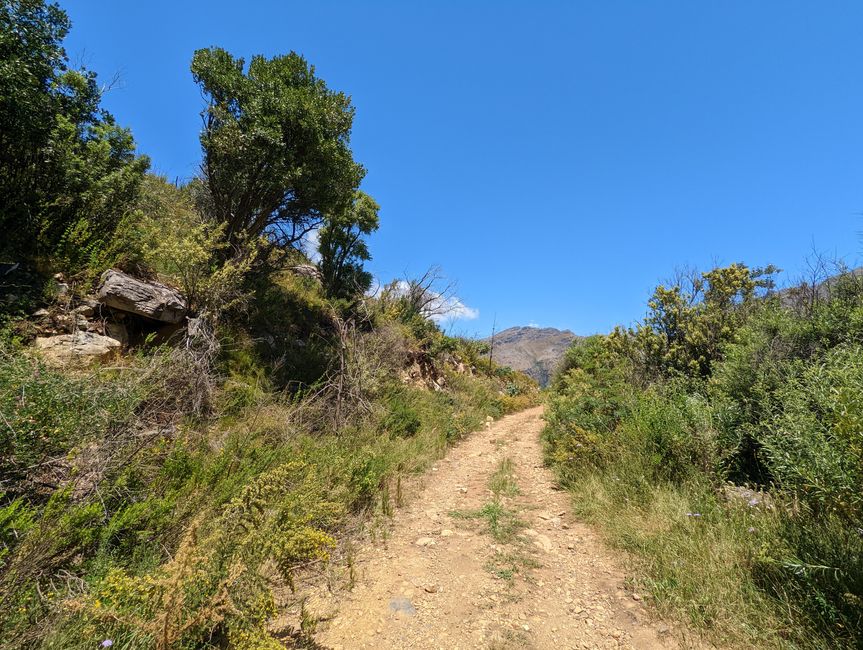 Biken im Jonkershoek Nature Reserve